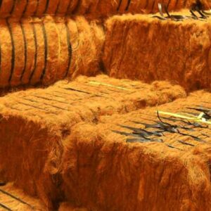 Coir Fiber